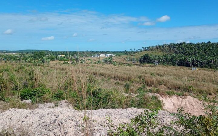 Loteamento Fllorestta: a oportunidade ideal para construir a casa dos seus sonhos ou investir em uma região de grande valorização em Codó